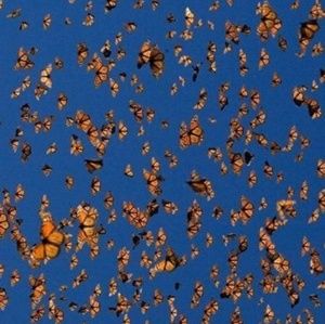 Meet your Posher, Kay